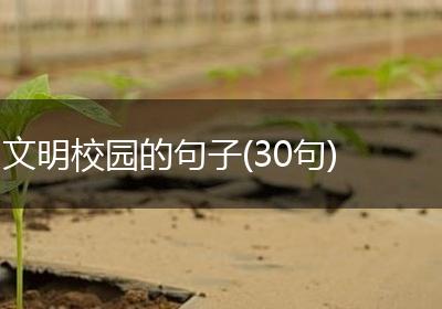 文明校园的句子(30句)