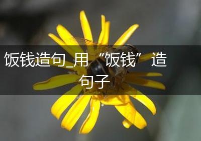 饭钱造句_用“饭钱”造句子