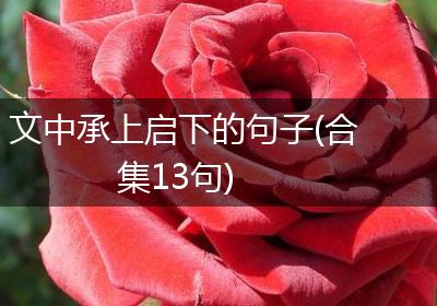 文中承上启下的句子(合集13句)