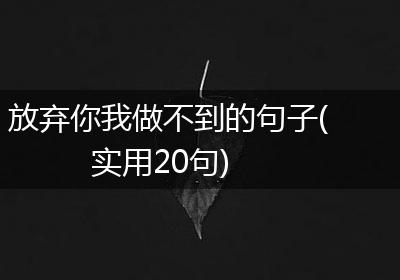 放弃你我做不到的句子(实用20句)