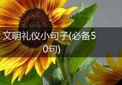 文明礼仪小句子(必备50句)
