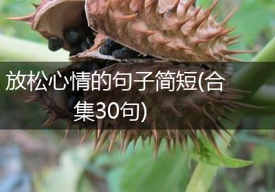 放松心情的句子简短(合集30句)