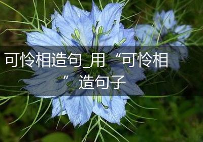 可怜相造句_用“可怜相”造句子