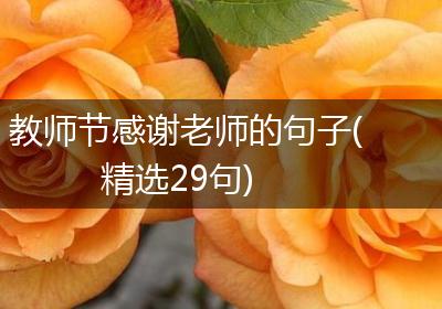 教师节感谢老师的句子(精选29句)