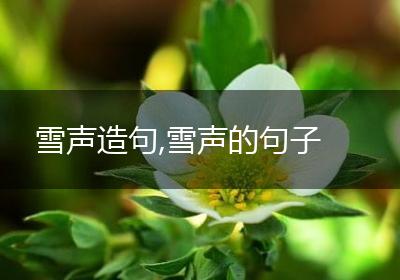 雪声造句,雪声的句子