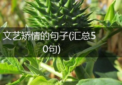 文艺矫情的句子(汇总50句)