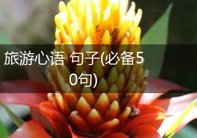 旅游心语 句子(必备50句)