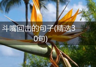 斗嘴回击的句子(精选30句)