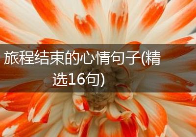 旅程结束的心情句子(精选16句)