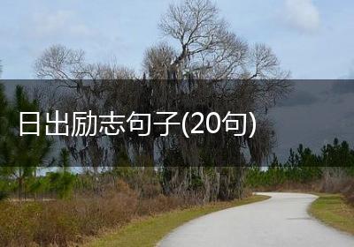 日出励志句子(20句)