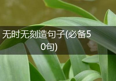 无时无刻造句子(必备50句)