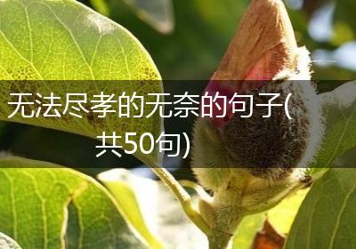无法尽孝的无奈的句子(共50句)