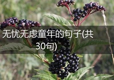 无忧无虑童年的句子(共30句)
