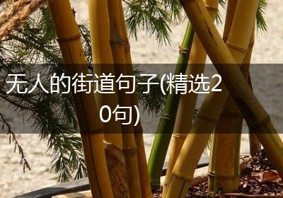 无人的街道句子(精选20句)