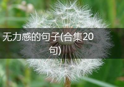 无力感的句子(合集20句)