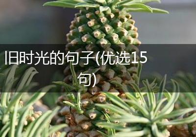 旧时光的句子(优选15句)
