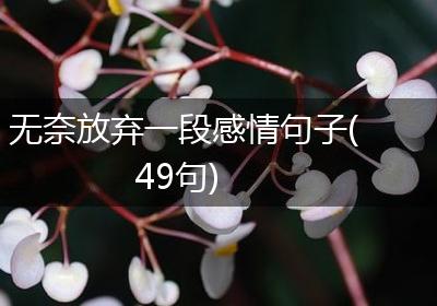 无奈放弃一段感情句子(49句)