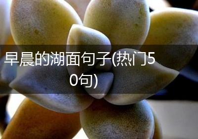 早晨的湖面句子(热门50句)