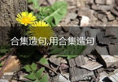 合集造句,用合集造句