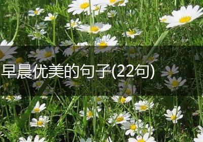 早晨优美的句子(22句)