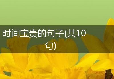 时间宝贵的句子(共10句)