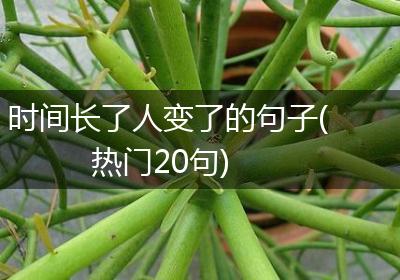 时间长了人变了的句子(热门20句)