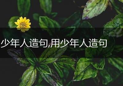 少年人造句,用少年人造句