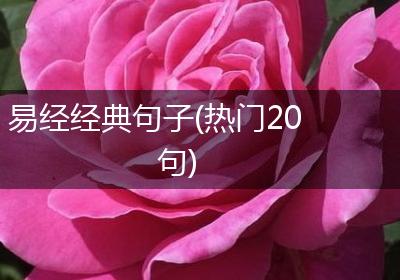 易经经典句子(热门20句)