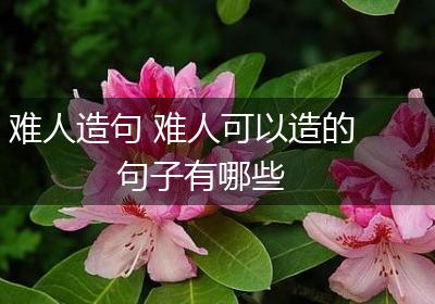 难人造句 难人可以造的句子有哪些