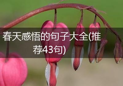 春天感悟的句子大全(推荐43句)