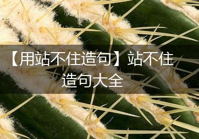 【用站不住造句】站不住造句大全