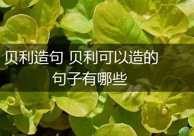 贝利造句 贝利可以造的句子有哪些