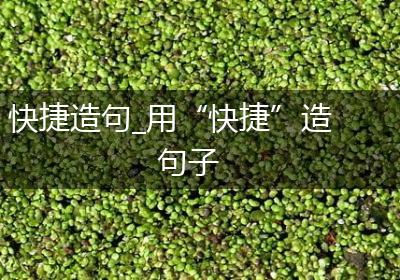 快捷造句_用“快捷”造句子
