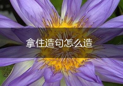 拿住造句怎么造