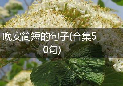 晚安简短的句子(合集50句)
