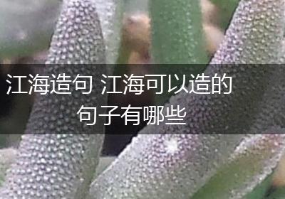 江海造句 江海可以造的句子有哪些