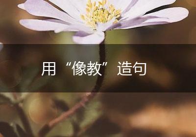 用“像教”造句