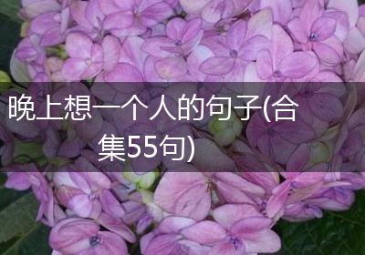 晚上想一个人的句子(合集55句)