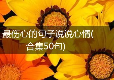 最伤心的句子说说心情(合集50句)
