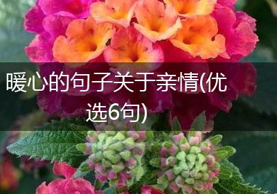 暖心的句子关于亲情(优选6句)