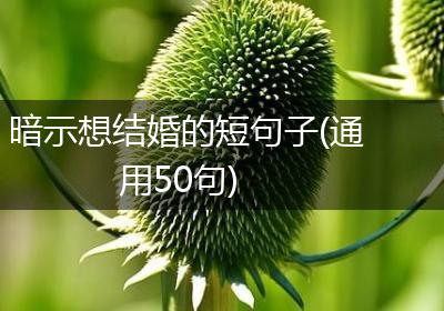 暗示想结婚的短句子(通用50句)