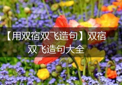 【用双宿双飞造句】双宿双飞造句大全