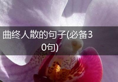 曲终人散的句子(必备30句)