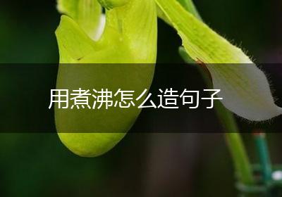 用煮沸怎么造句子