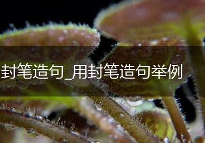 封笔造句_用封笔造句举例