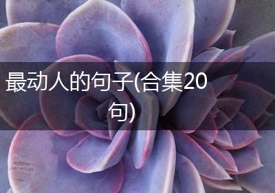 最动人的句子(合集20句)