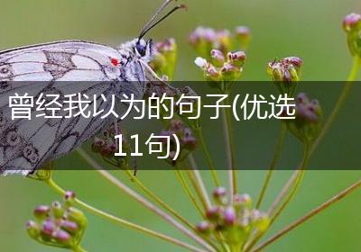 曾经我以为的句子(优选11句)