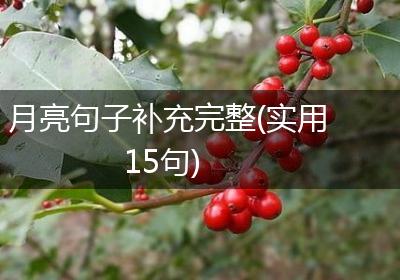 月亮句子补充完整(实用15句)
