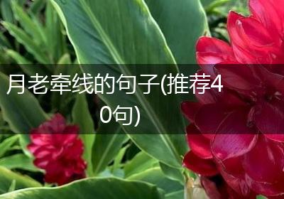 月老牵线的句子(推荐40句)