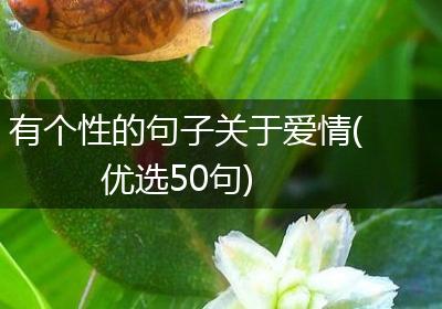 有个性的句子关于爱情(优选50句)